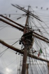 garibaldi tall ship regatta ph s veneziano (5)
